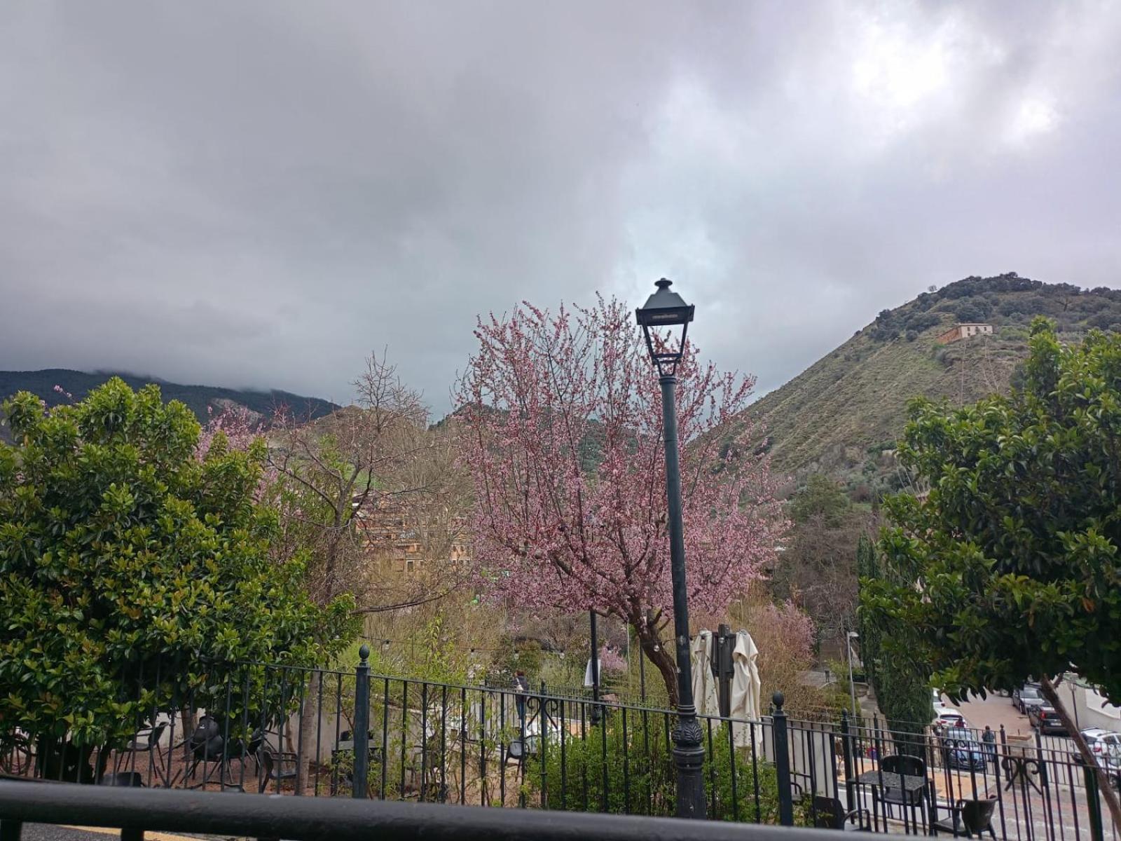 Reyes Apartament